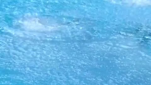 Perfect Dive at Tokyo 2020 – Pure Focus & Power! 💦🤯