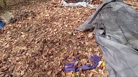 Homeless Man Cleans Abandoned Campsite !! 04/18/25
