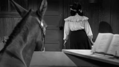 Francis Covers the Big Town (1953) Full movie | Comedy
