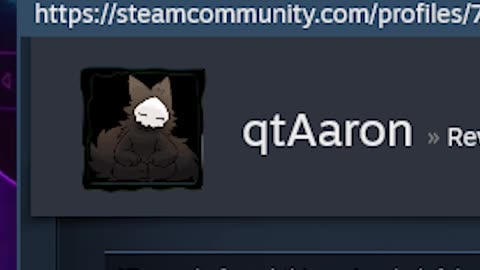 Pets Hotel Steam Review