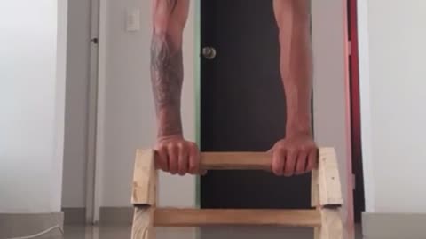 He Nailed the Handstand—Then the Bar Betrayed Him!