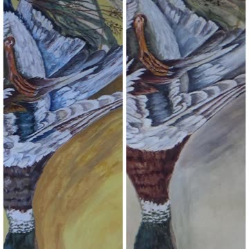 Dead Duck, Which One Did I Paint 1 or 2?