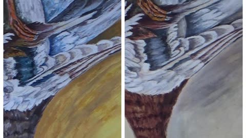 Dead Duck, Which One Did I Paint 1 or 2?