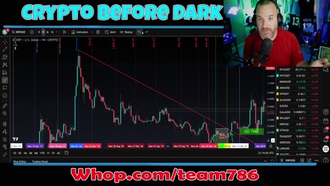 Crypto and Bitcoin HAVE FALLEN! How much more blood???