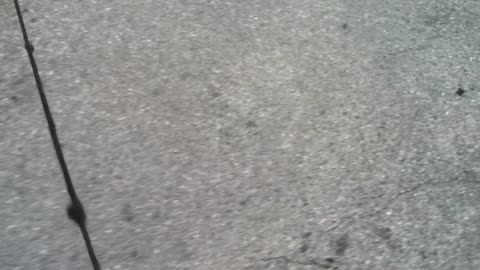 Elliot Rodger iPhone FOIA Collection (Reupload)