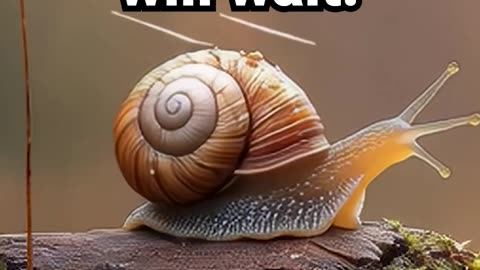 Move gently. The world will wait. #motivational #balancemeditation #positivethinking