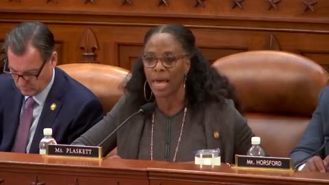 Democrat delegate to the House, Stacey Plaskett, has an unhinged meltdown about Elon