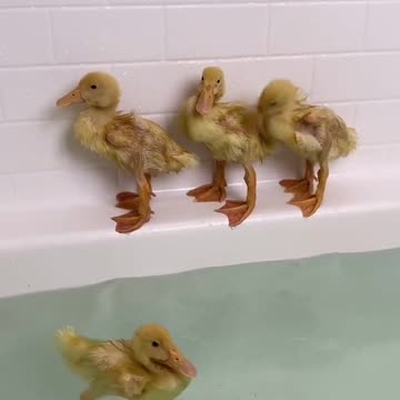 First dip in the water apprehension