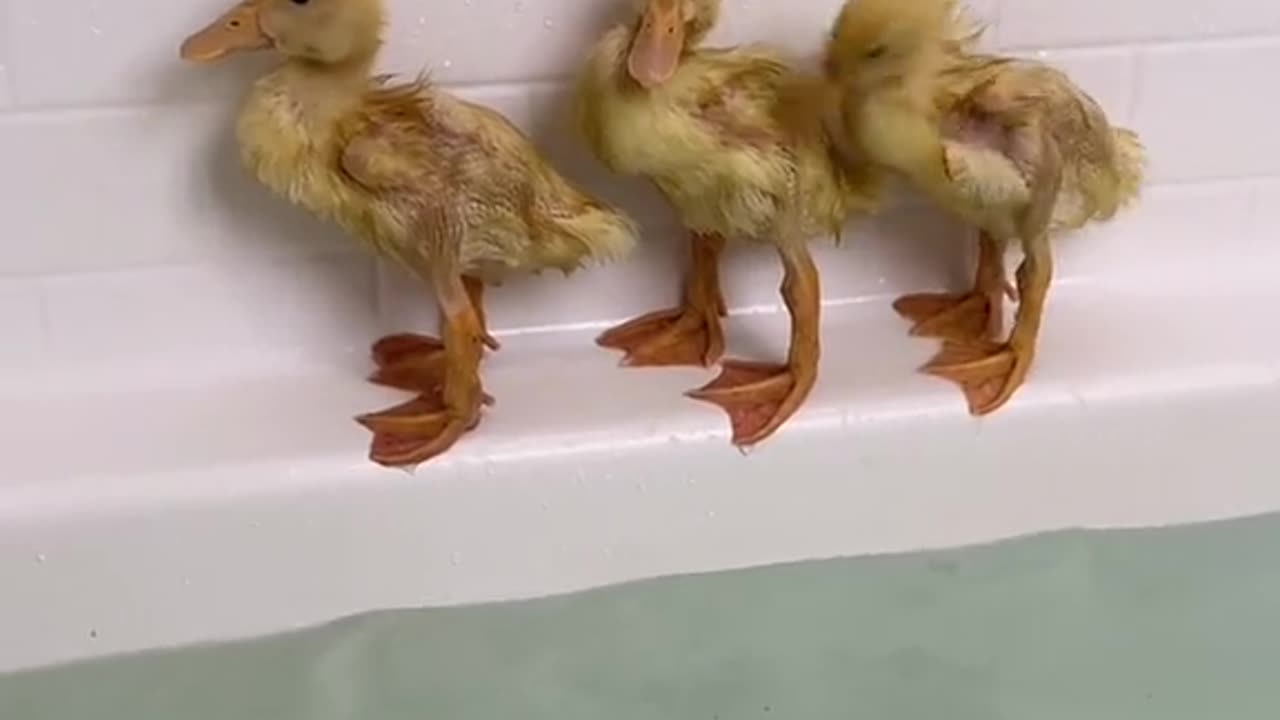 First dip in the water apprehension