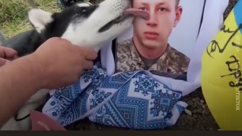 🐕🟥 Ukraine War | Soldier's Dog Mourns Fallen Comrade Dmytro | RCF
