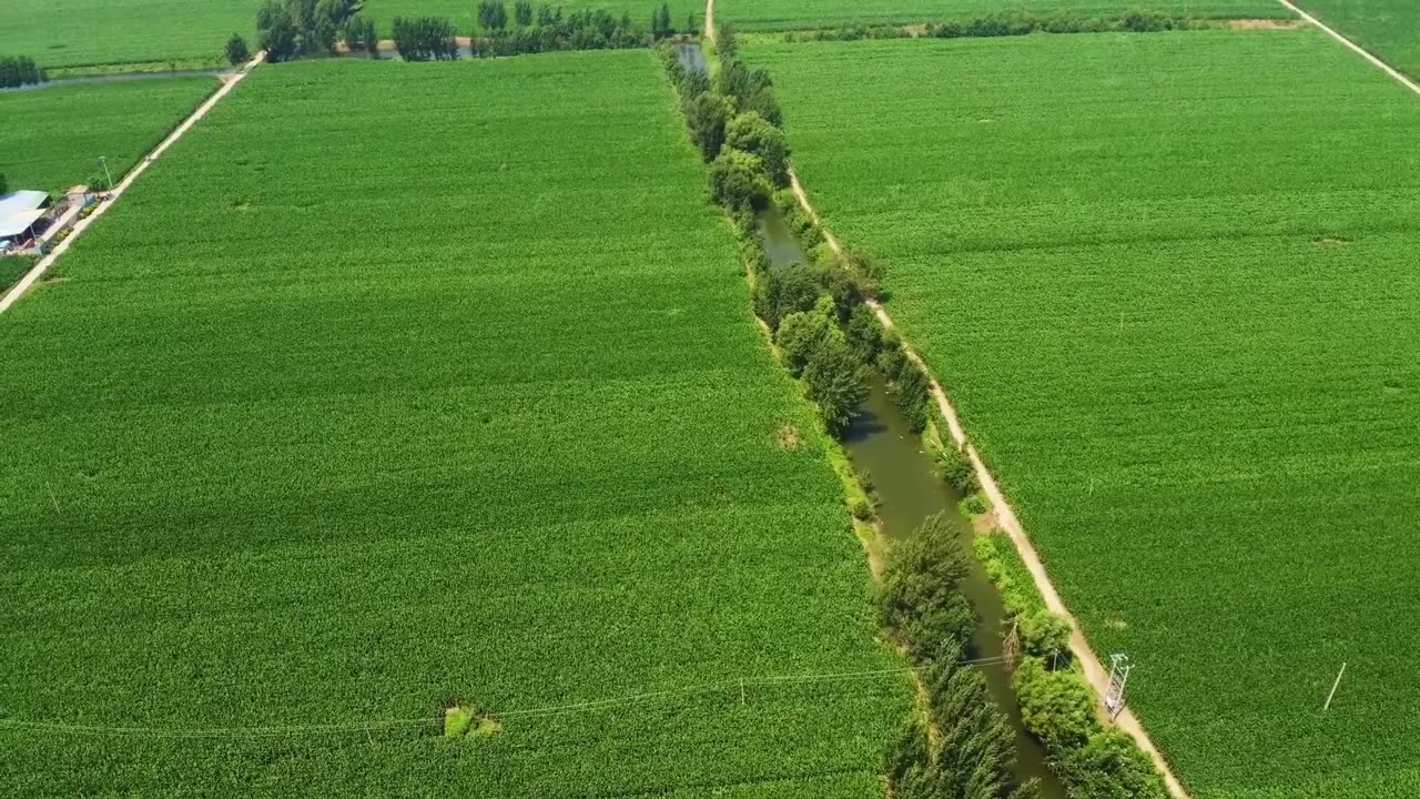 Amazing Grace. Words: John Newton, 1779.