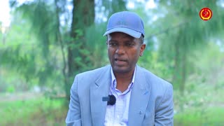 ሕርያና ሰላም እምበር ኲናት ኣይኮነን! ርእስኻ ኣድኒንካ ምግዛእ ግን ኣይናይኣቦታትናን! - ተጋዳላይ ገብረ ገ/ጻድቃን