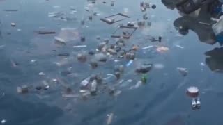 This is Bangladesh. Where is Greta?