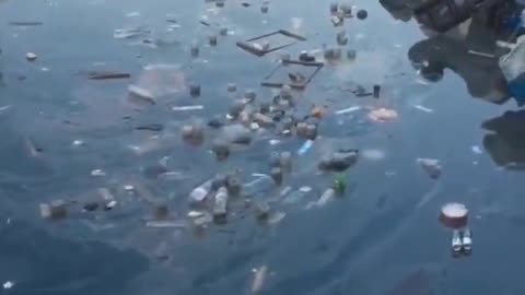 This is Bangladesh. Where is Greta?