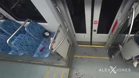 The Attack on Iryna Zarutska