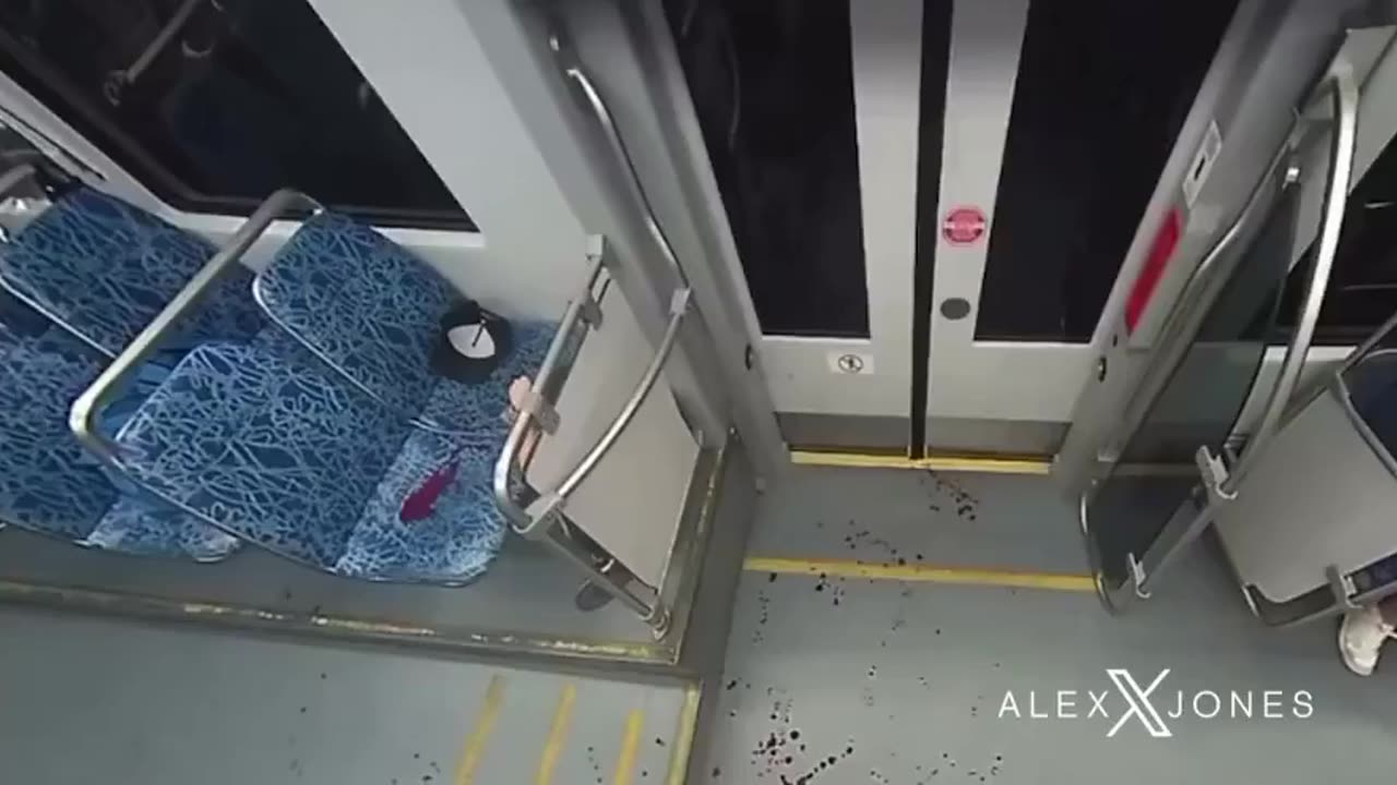 The Attack on Iryna Zarutska