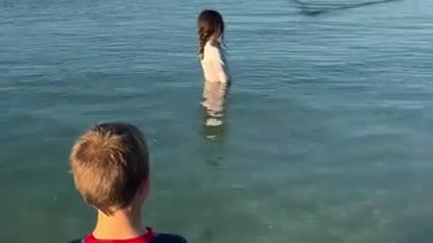 🐬👪 Dolphin Approaches a Family... Watch This! | FunFM