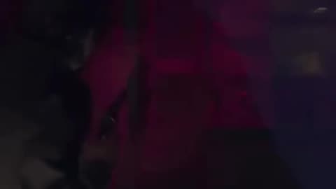 NYPD OFFICER OCCULTIC INITIATION