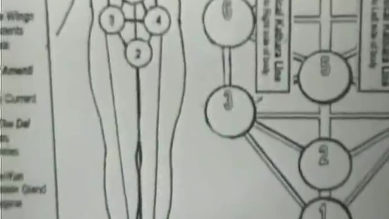 Advanced Kathara Bio-Spiritual Healing Level 1 & Intro Level 2 6of12 Ashayana Deane