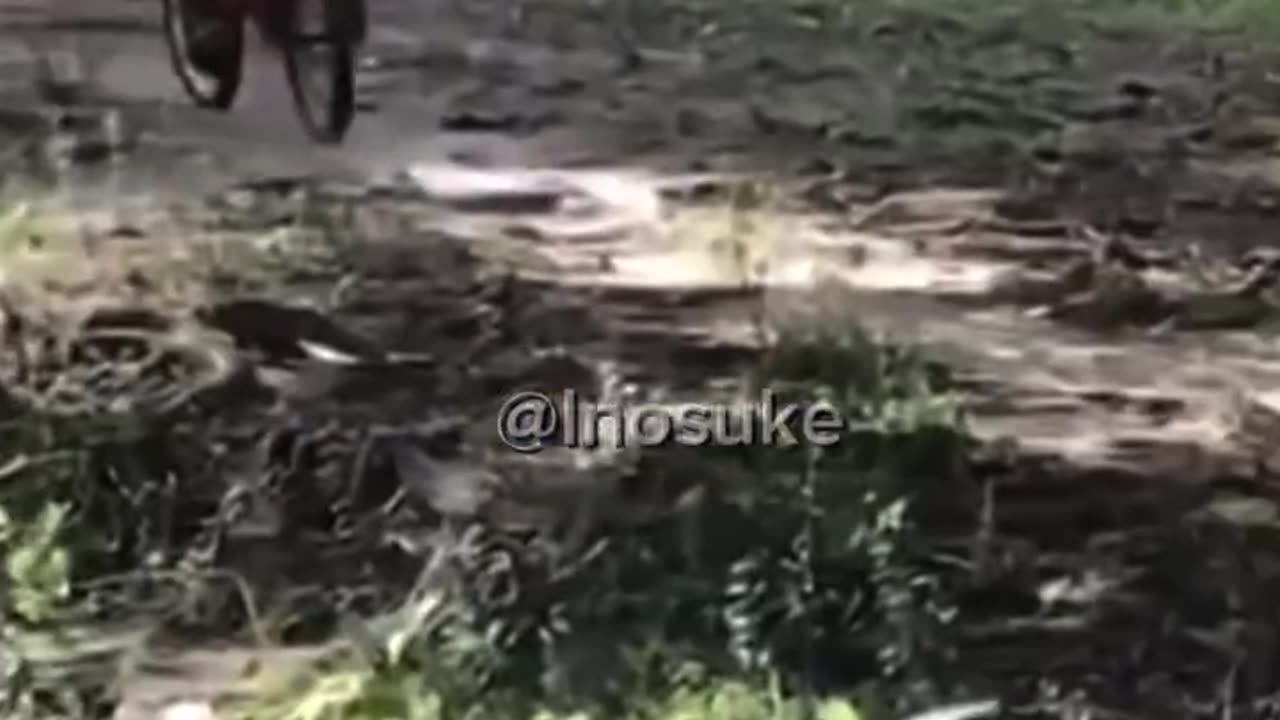 Let's ride