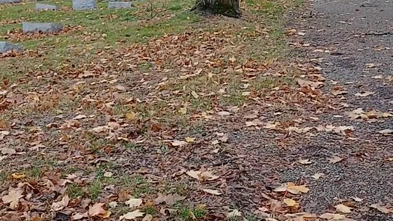 homeless~ish back in PA
