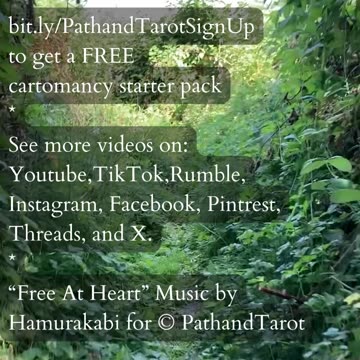 Emotional Clarity Deepens | Path and Tarot Reading