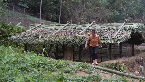 Build Bamboo House New For Bird - Daily life, Life with nature, Life Farm.