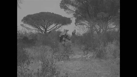 509TH PARATROOPER I... - 509TH PARATROOPER INF BN INVADES SOUTHERN FRANCE, NEAR LE MU - 111-adc-1622