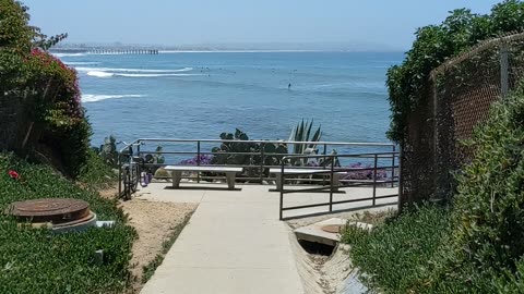 Sunshine at the Beach - Walking to Pacific Beach Point #california #shorts #ocean