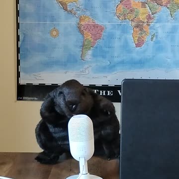 Chopper Calls out Canadian Government subsidized Media