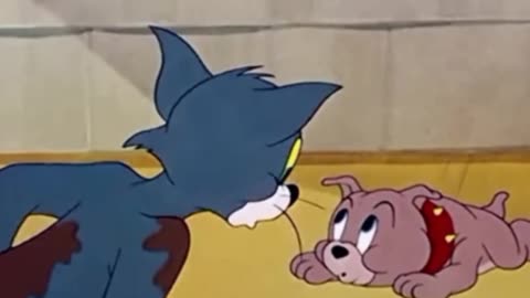 funny funny videos funny jokes funny animals funny memes funny movies funny bone funny pictures