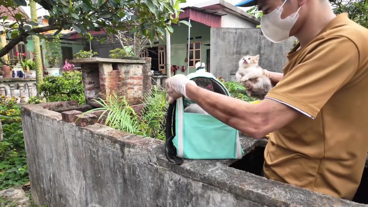 stray whiskers smiled again after warm blanket gift