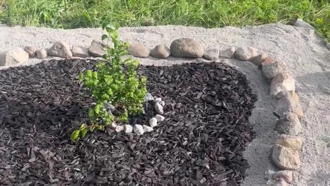 Progress!