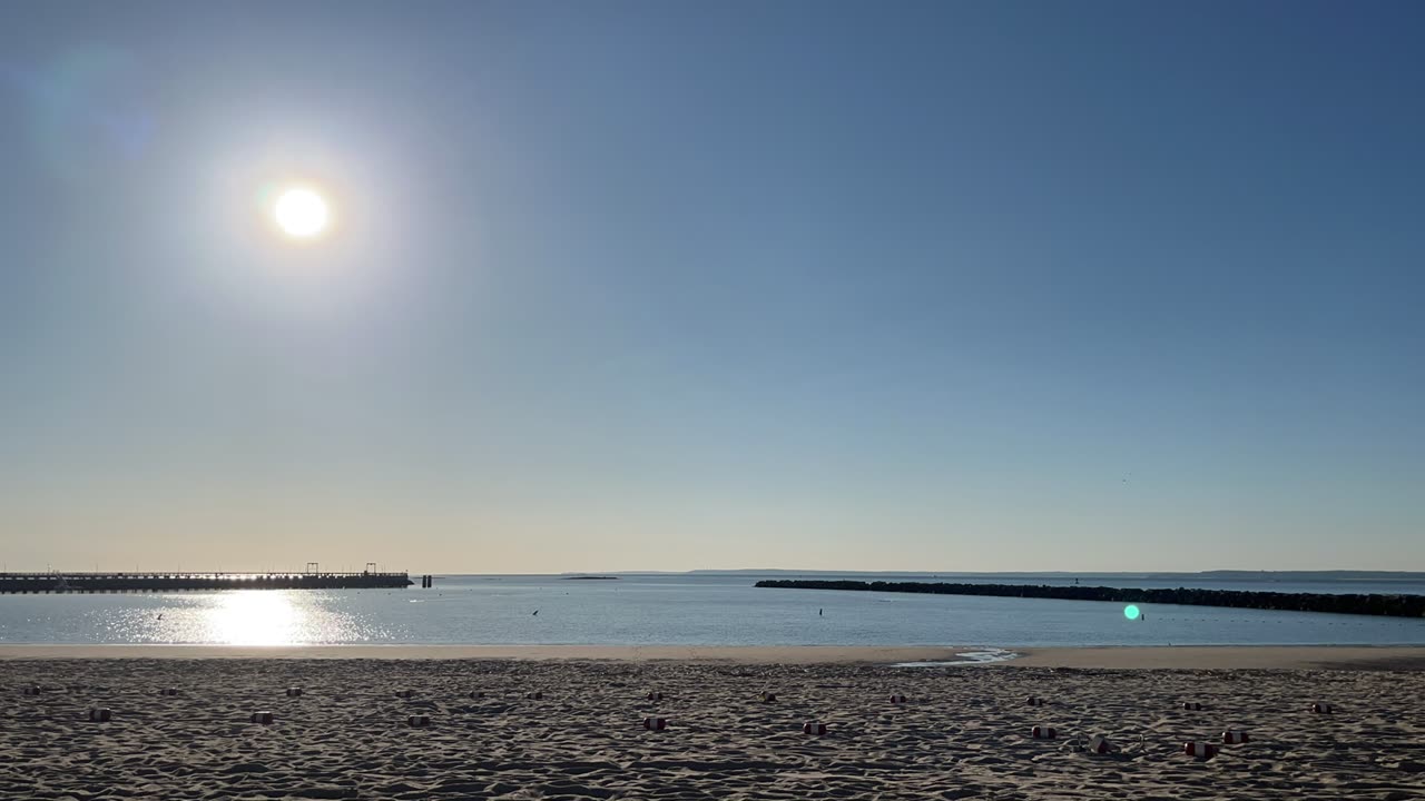 Rye morning swims 2025