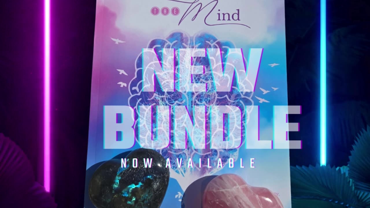 NEW MARKET BUNDLE