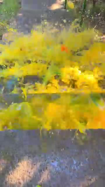 Breaking glass bottles ⚠️🔥 Crushing Crunchy & Soft Things !