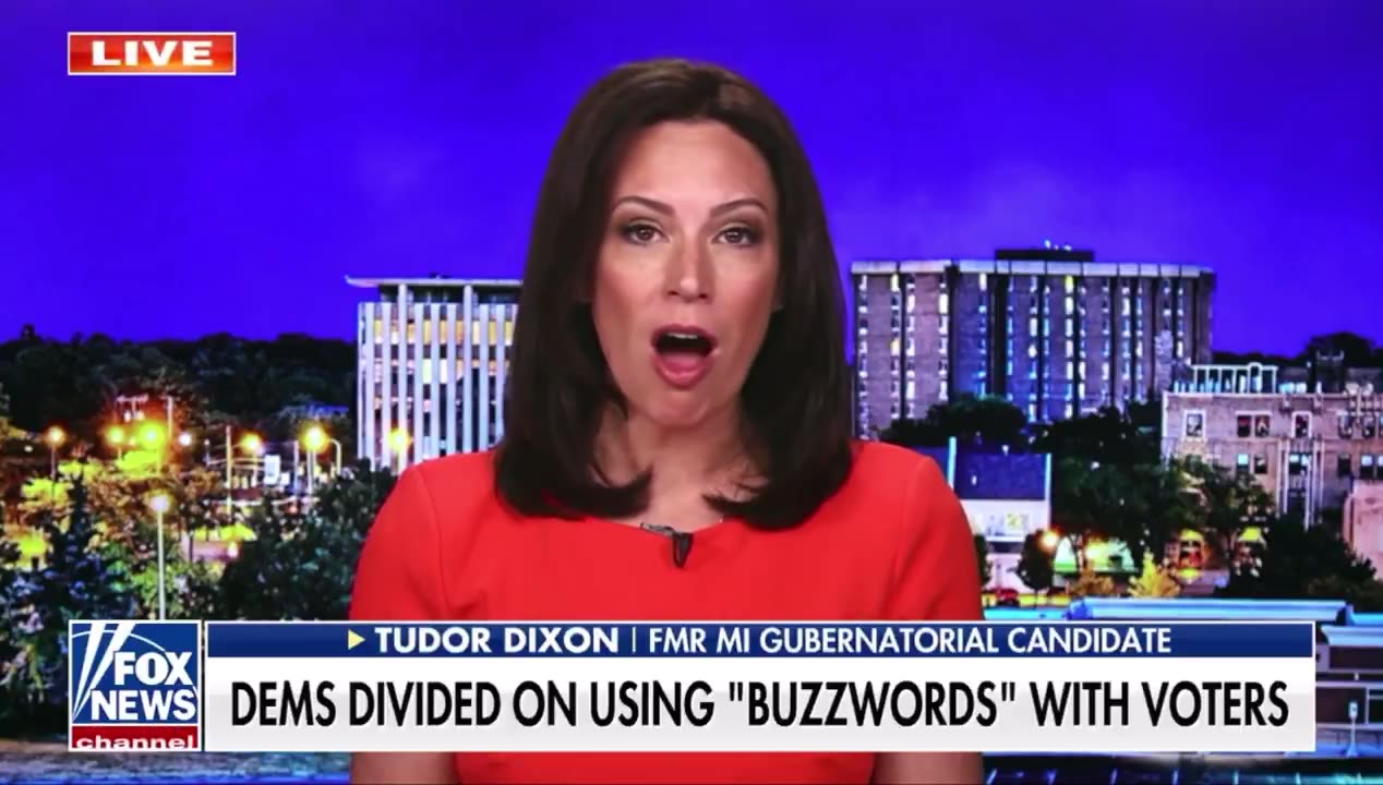 Why Cant Democrats Just Be Normal?