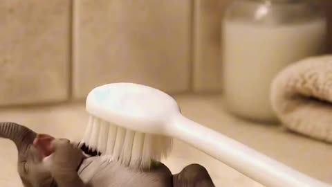 Baby elephant bath with brush 🐘🐘🐘🍼🍼🍼😁😀😀😀