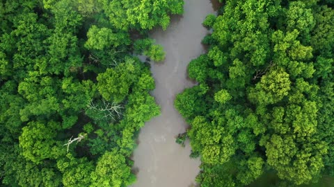 "The only limit to our realization of tomorrow will be our doubts of today."