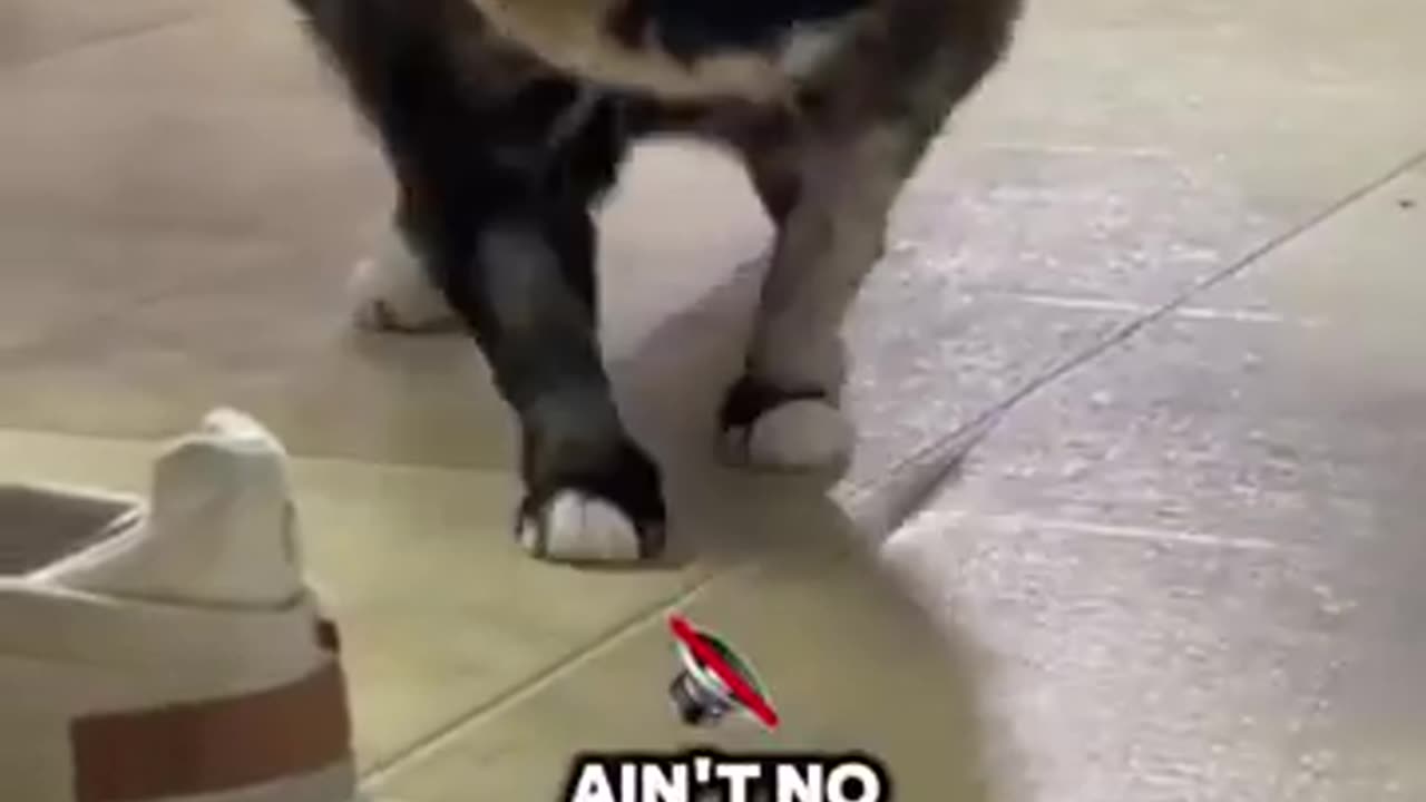 Another one bites the dust