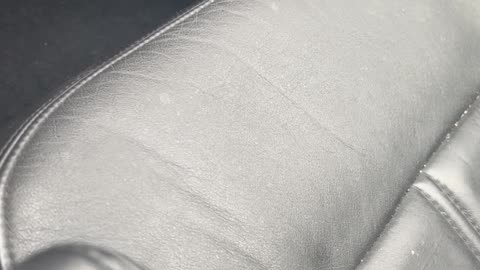 Alvin Kamara stalking and harassment