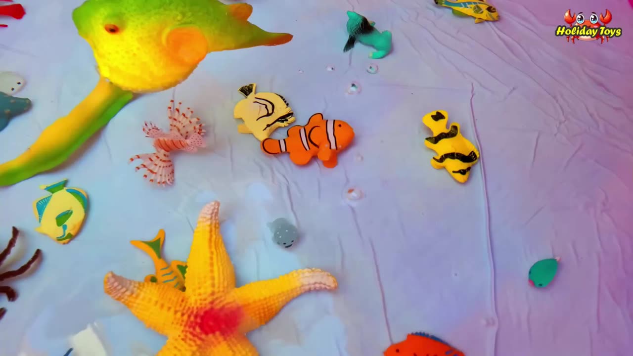 Right Whales Bask in the Estuary to Warm Bodies