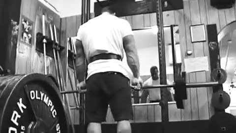 Animal Pak Vol. 4