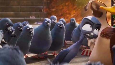 THESE PIGEONS RUN ONTO A DUCK