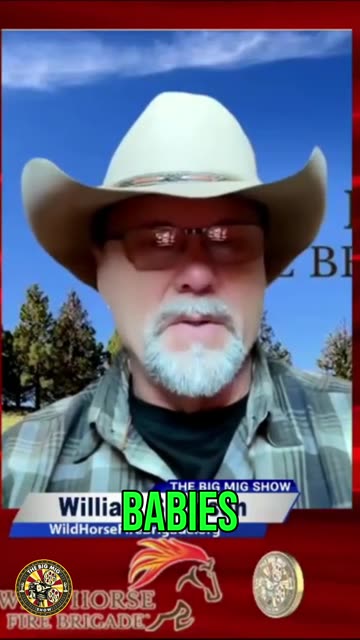 BLM's Wild Horse Sterilization: Inhumane & Flawed Science