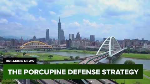 Taiwan's Porcupine Defense Strategy