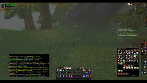 Turtle wow - Melee HC Slow and Steady Hunter - Part 67 - No commentary