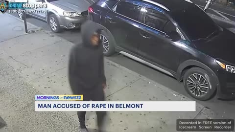 ONLY A NIGGER RAPES A WOMAN SITTING AT A PARK