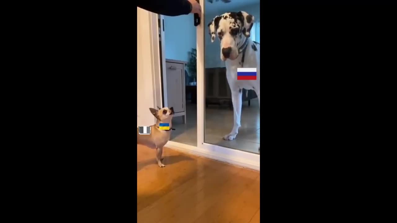 One SPin EAch = Speech