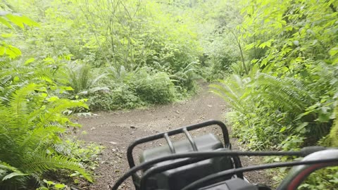 Drag harrowing with the Ole ATC250ES